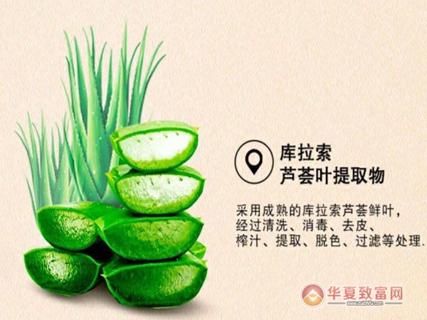绿叶爱生活加盟